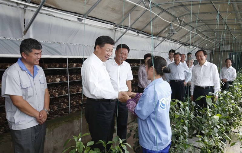 这是7月19日上午，习近平在银川市永宁县闽宁镇原隆移民村考察蔬菜香菇种植大棚。新华社记者鞠鹏摄